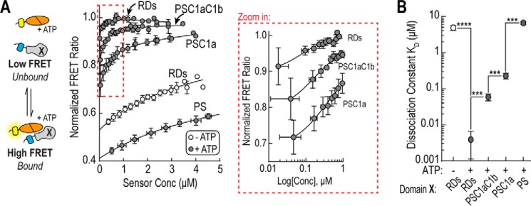 FIGURE 4.