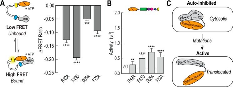 FIGURE 6.