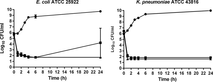 FIG 2