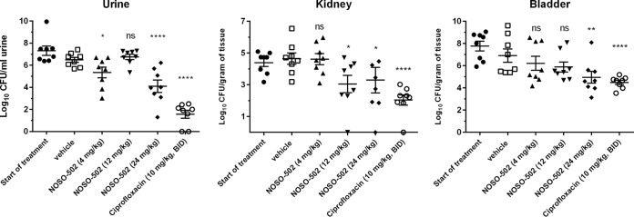 FIG 5