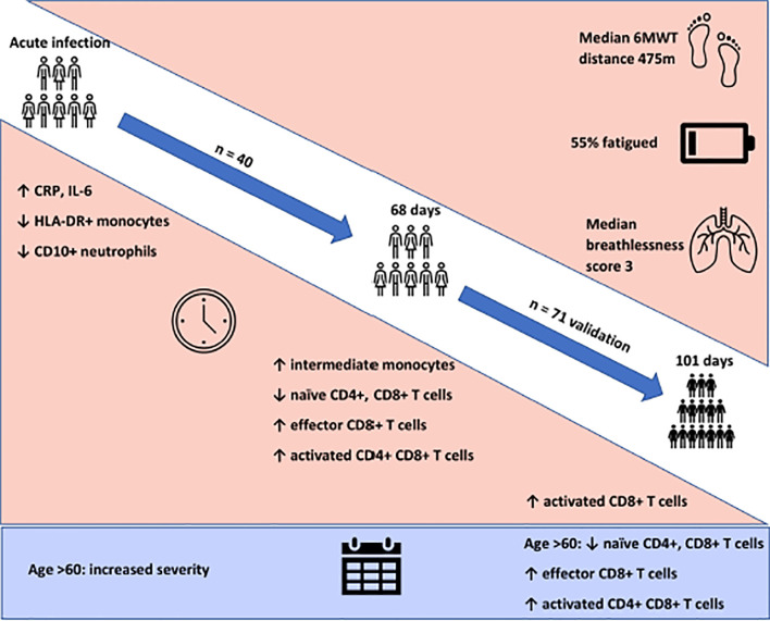 Graphical Abstract