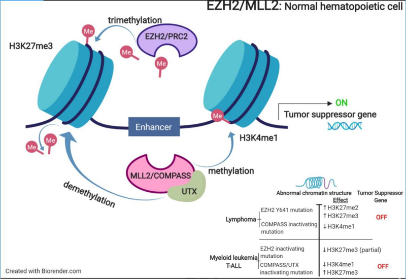 Figure 2: