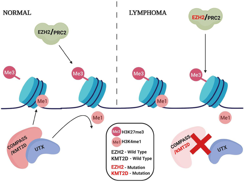 Figure 3: