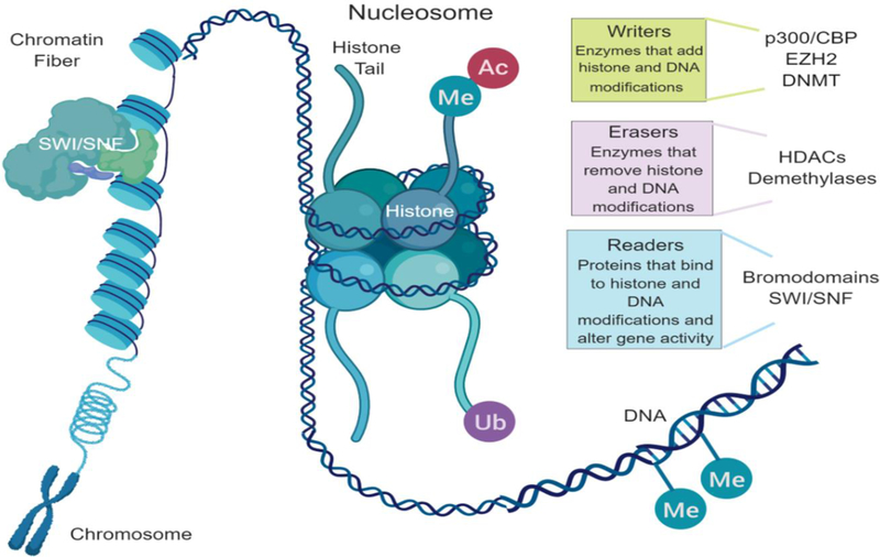 Figure 1: