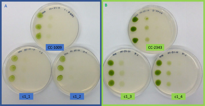 Appendix 1—figure 7.