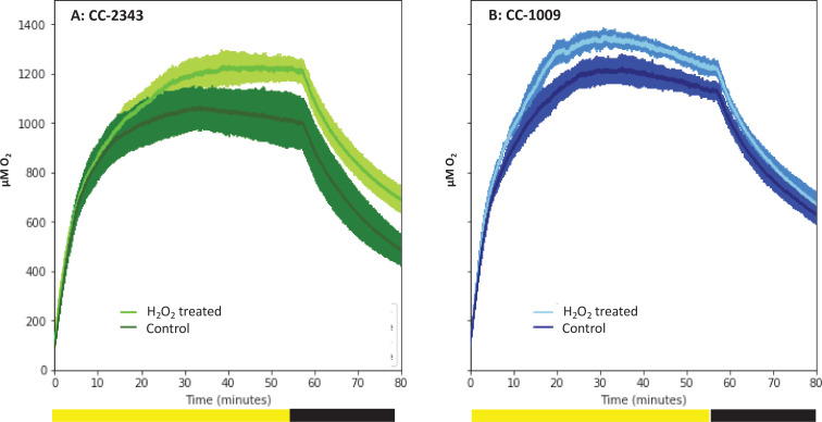 Figure 10.