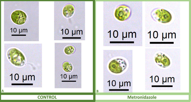 Appendix 1—figure 14.