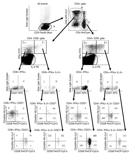 Fig. 25.1