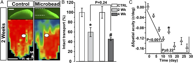 Fig. 6.