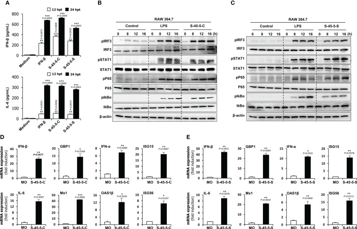 Figure 2