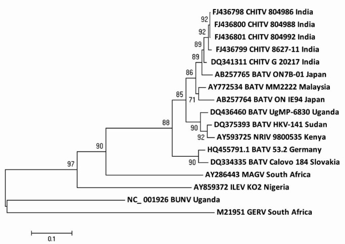 Fig. 2