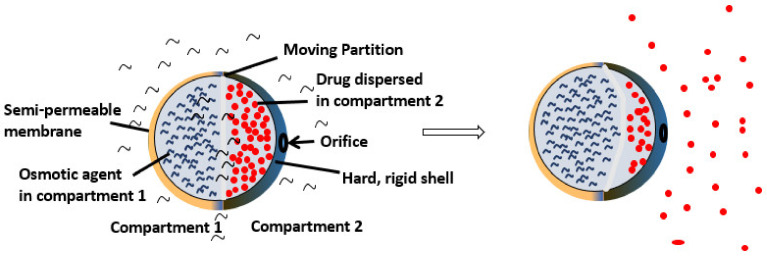 Figure 27