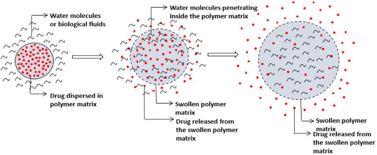 Figure 29