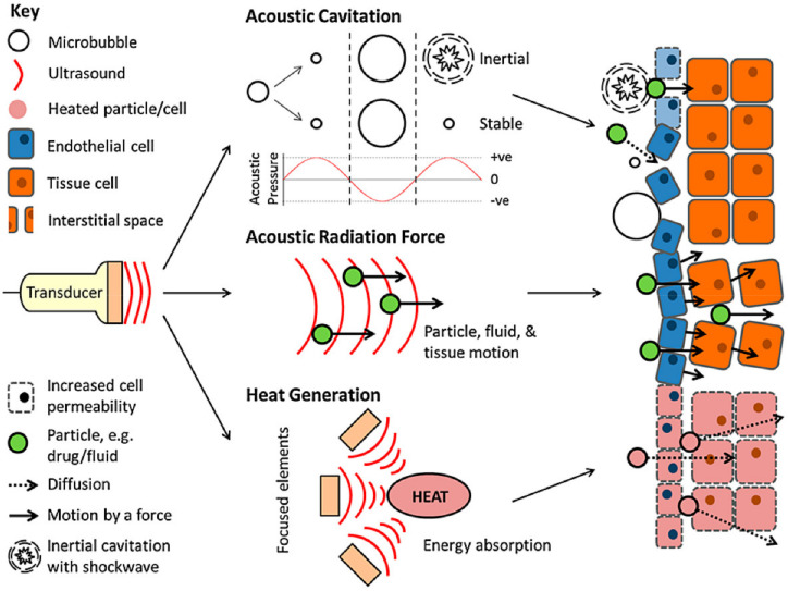 Figure 37