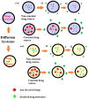 Figure 24