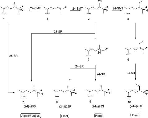 Figure 17
