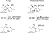 Figure 23