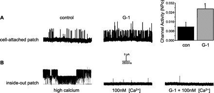 Fig. 5.