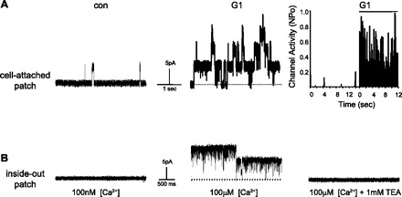 Fig. 4.