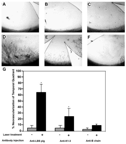 Fig. 28