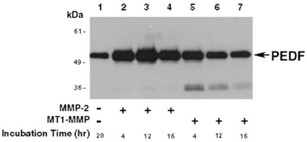 Fig. 29