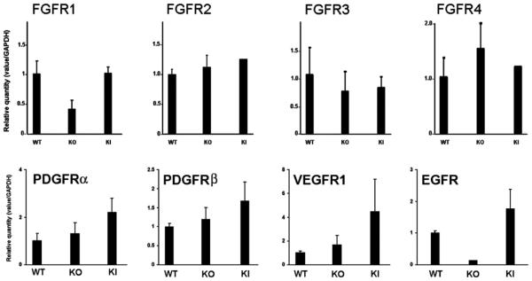 Fig. 22