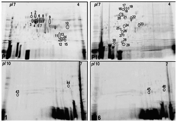 Fig. 18