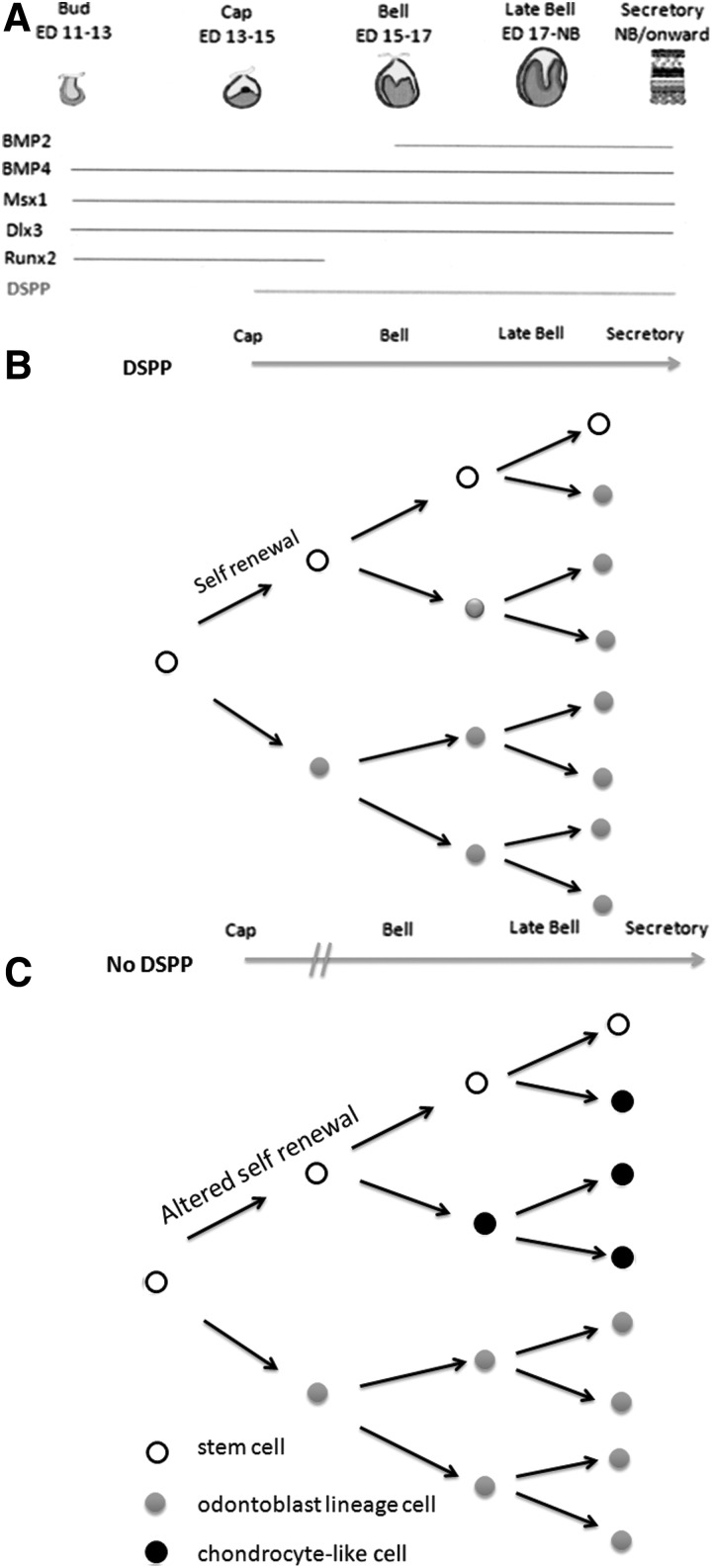 FIG. 8.