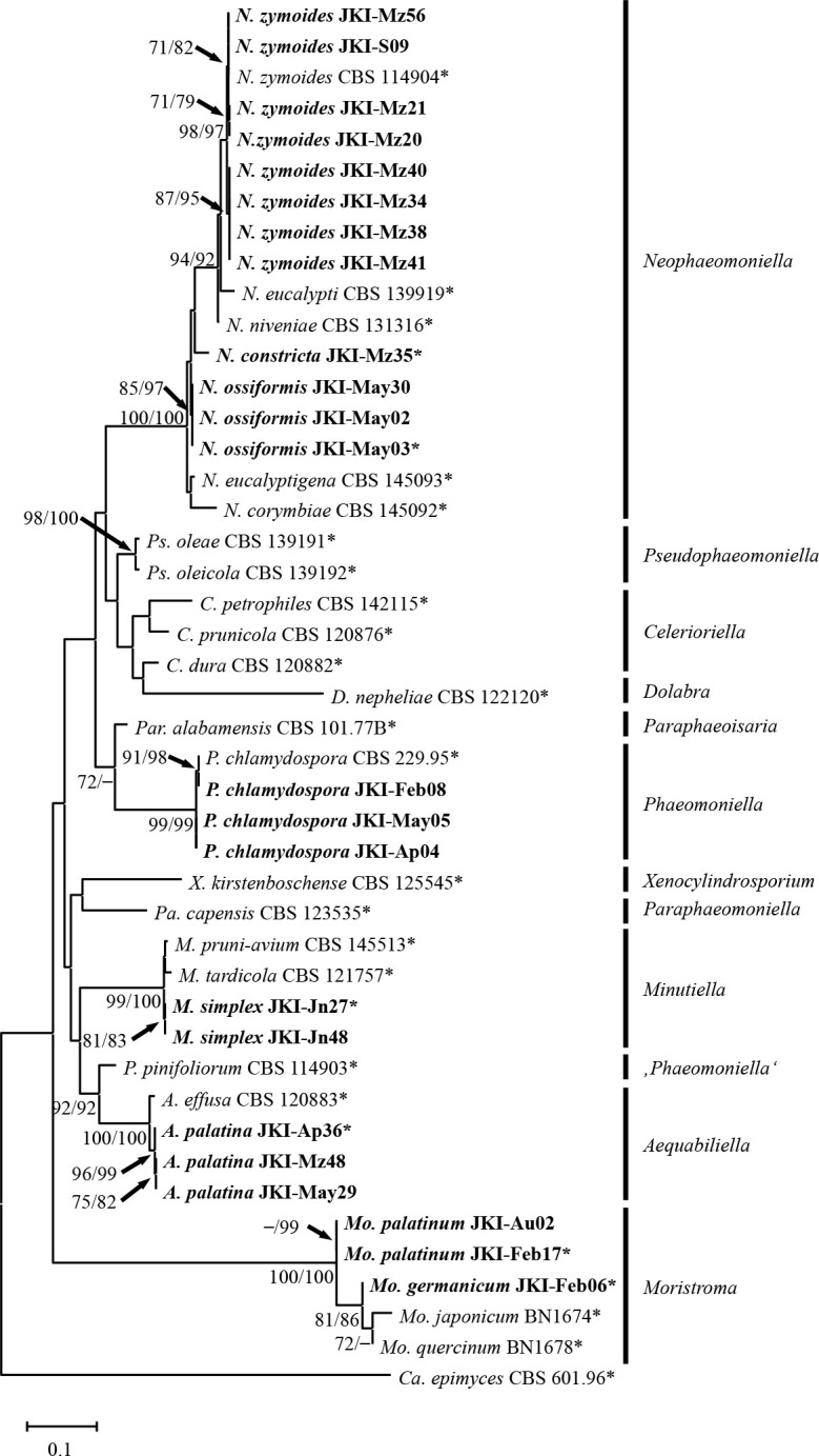 Fig. 2.