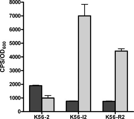 FIG. 2.