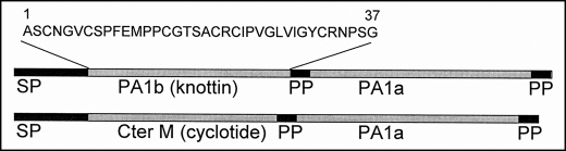 FIGURE 1.