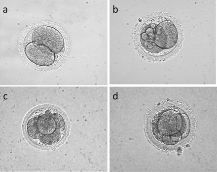 FIG. 5