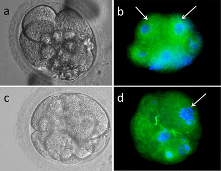 FIG. 7