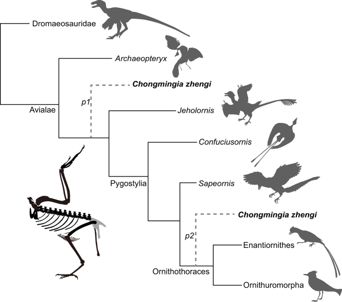 Figure 7