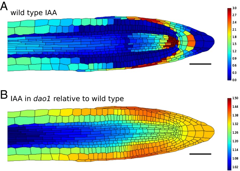 Fig. 4.