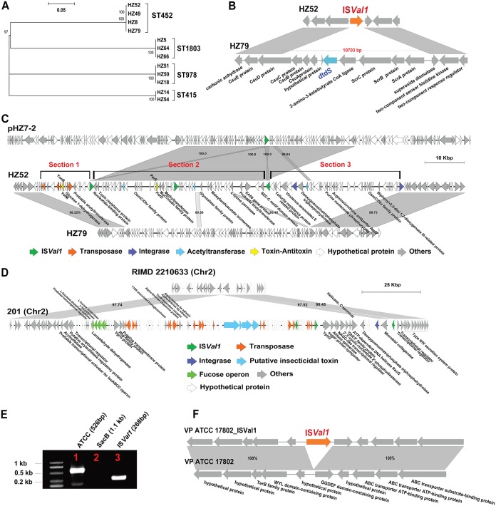 FIG 3