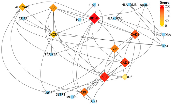 Figure 3.