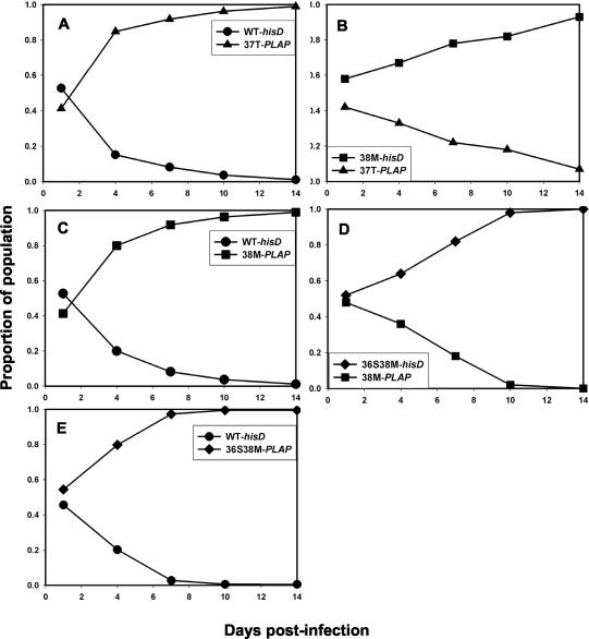 FIG. 4.