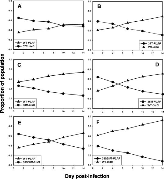 FIG. 2.