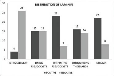 Graph 1