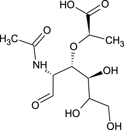 graphic file with name FPHAR_fphar-2022-1044248_wc_tfx18.jpg