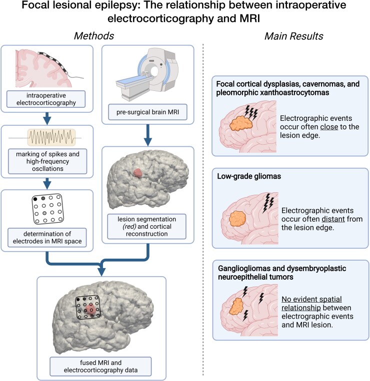 Graphical abstract