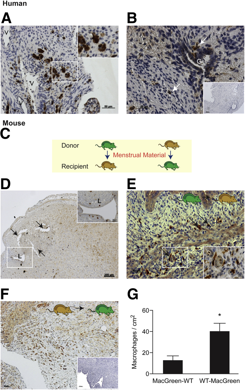 Figure 6