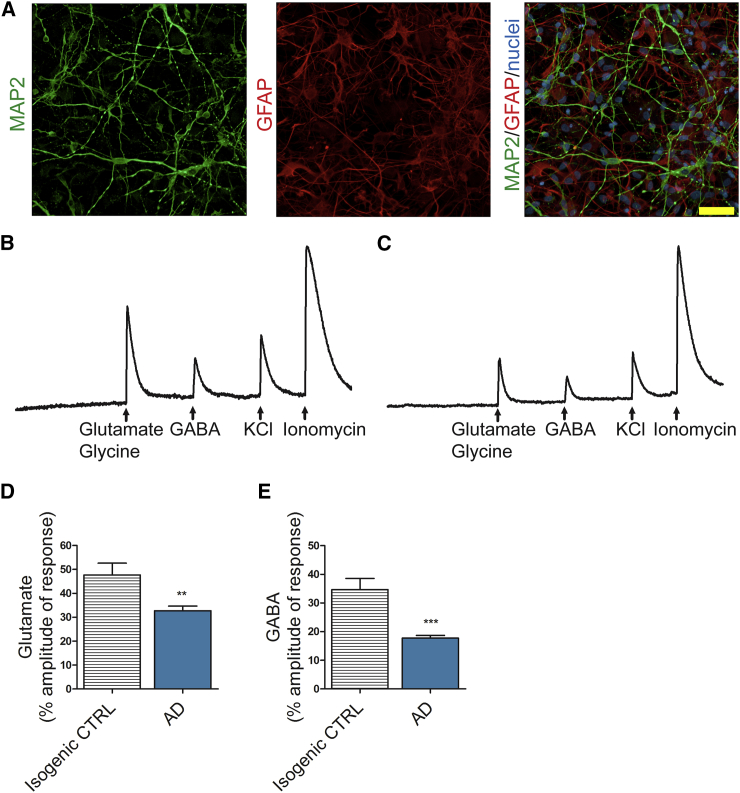 Figure 6