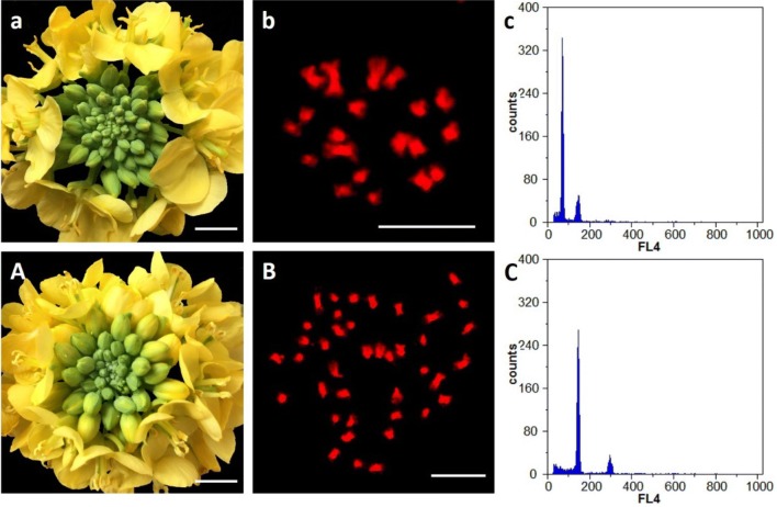 Fig. 1