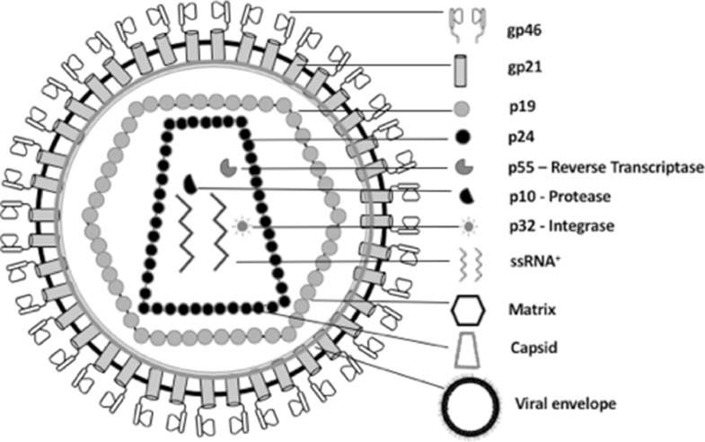 Fig 1