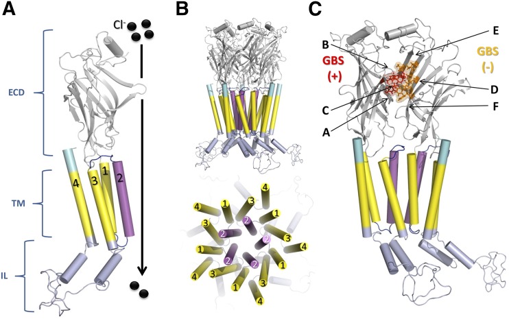 Fig. 1.