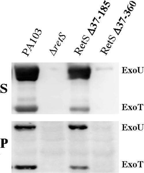 FIG. 5.