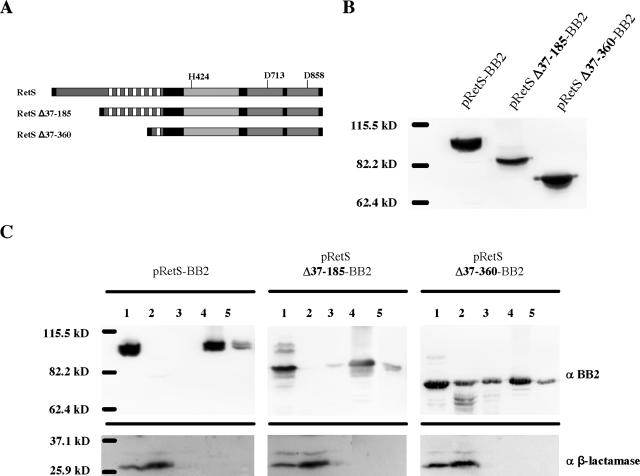 FIG. 4.