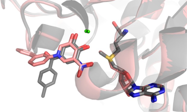 Figure 4